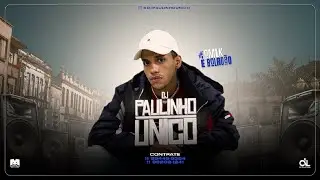 BARRACO DE MADEIRA - MC LD (DJ Paulinho Unico)