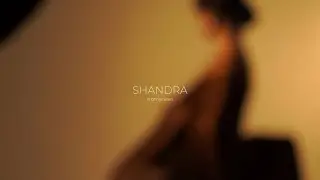 Shandra - Я отпускаю