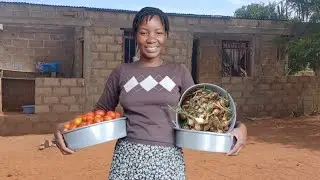 Organizei A Cozinha | Mostrei Nossa Colheita Da Horta | Sábado 