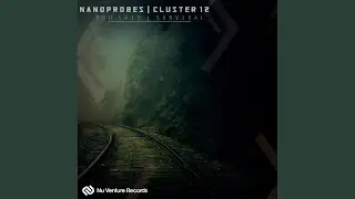 Survival (Original Mix)