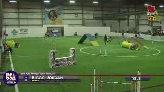 Building Verbals for Agility with Jordan Biggs -- Online Course