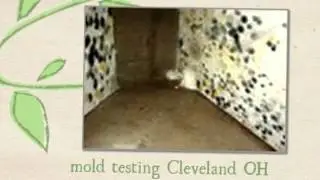 Mold Testing Cleveland OH