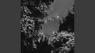 MOONLIGHT
