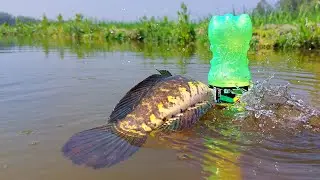 Amazing Bottle Hook Fishing Trap | Village Boy Catching Big Snakehead Fish By Plastic Bottle Trap |