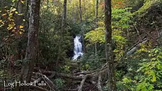 4 Waterfalls in the Log Hollow Area - Pisgah National Forest