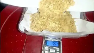 Today's Black Soldier Fly Egg Harvest in BSF Farming in Nigeria, Ibadan.