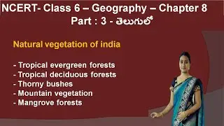 NCERT Class 6 Geography Chapter 8 in telugu (part 3)|| climate vegetation and wildlife class 6