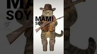 gato vaquero 🤠 #humor #meme #xd