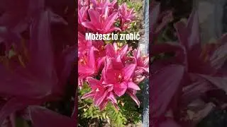 Możesz być zdrowy tylko oczyścić sw&oacute;j organizm możesz to zrobić#shorts#SUBSKRYBYJESZ#