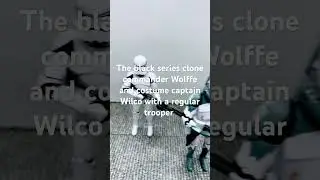 The black series commander Wolffe and captain Wilco with a regular trooper.