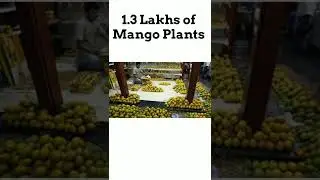 Reliance - Largest Exporter of Mangoes in India #shorts #youtubeshorts #finoship #business #invest