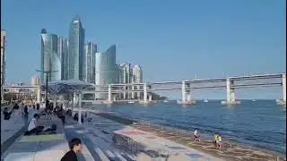 국제기구 세계녹색기후기구/IO-WGCA, 지린성 룽징시 ISGC,IGC. 공장 및 본부 깃발 과 청사 내부 조직도 지린성 룽징시 건물 내 조직도