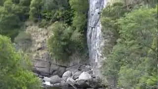 Leven Canyon Floor Walk