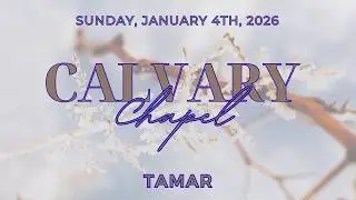 Tamar - 1.4.26