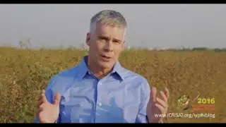 International Year of Pulses 2016:  A stable price for a staple crop (ICRISAT DG David Bergvinson)