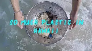 The Insane Amount Of Plastic In Hawaii