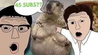 CLIP DUMP FOR 45 SUBSCRIBERS