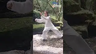RETRAITE &Eacute;T&Eacute; / LE NEI GONG DES &Eacute;L&Eacute;MENTS AVEC UN MASTER CLASS EXCEPTIONNEL ENSEIGN&Eacute; PAR MA&Icirc;TRE ZHANG