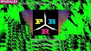 Spazialex DJ - Megamischio Megamix Poolside Lounge 18 by ZipDj com