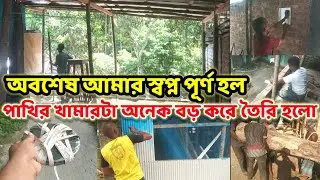 অবশেষে আমার স্বপ্ন পূর্ণ হল পাখির খামার টা বড় করে তৈরি হলো || bird house making || Birds of village