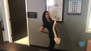 Overland Park KS Back Pain Help - The Anatomy of the Spine