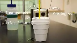 Coffee Cup Calorimetry