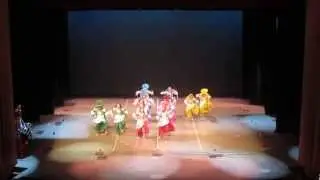 BU Bhangra @ Boiler Bhangra 2013 - 1st Place