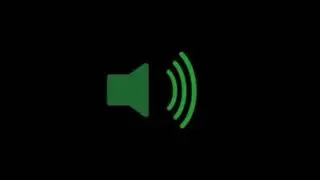 Geese sound effect:high quality