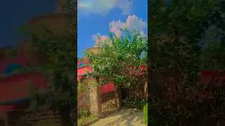#love #funny #travel #song #electunes #bangladesh #unfrez #nature #butiful #highlights #pakistan up