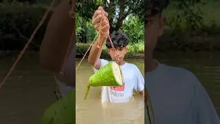 The Big Fishing Try With Gourd bait#fish#fishing#shirts