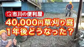 【草刈り80㎡庭の１年後】40000円作業ダイジェスㇳ＆書き込みコメントにお返事　各作業料一覧、メンバー登録、お問い合わせ先は概要欄をご覧下さい！