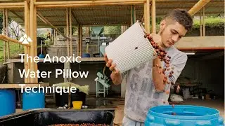 The Anoxic Water Pillow Technique at El F&eacute;nix