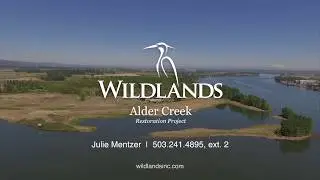 Alder Creek Restoration Project