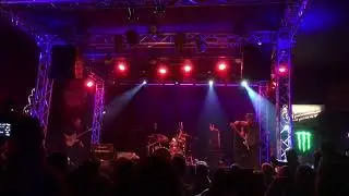 Blues Wire Chicken Fried Snake - Colorsound Amplification 