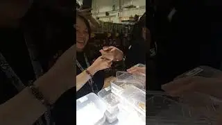 Repilte Beetle Crab Spider Cage 2023