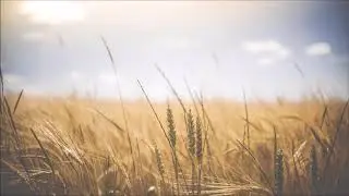 Cui i-aș fi spus eu vreodată? - Oastea Domnului