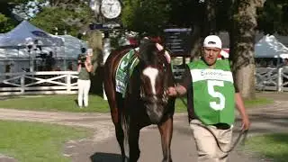 Concrete Rose: Midlantic 2YO's in Training (2020)