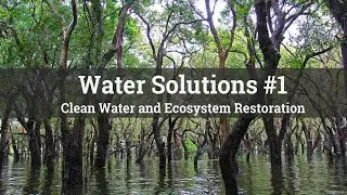 AIWW WaterSolutions #1 - Clean Water and Ecosystem Restoration