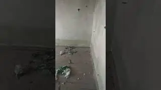 Я решил вернутся в заброшку, и увидел изменение в ней🤫😱.
