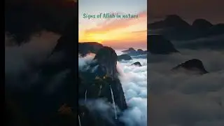 Signs of Allah in nature. #SignsOfAllah #QuranReminders #MuslimsInUK #IslamUSA #NatureAndQuran