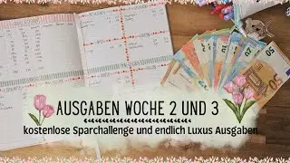 Ausgaben Woche 2 und 3 im Juli🌼 kostenlose Sparchallenge ♥ Meine echten Einnahmen und Ausgaben🌼