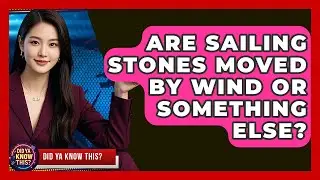 Are Sailing Stones Moved By Wind Or Something Else? - Did Ya Know This