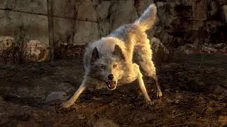 Hey, it's that dog! -  Resident Evil 4 Remake