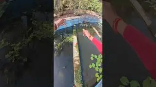 Water Challenge 🥶💦💯 #parkour #waterchallenge #jump #parkourpov #freerunning #spidermanparkour