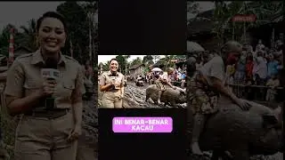 Ai kocak || Lomba balap celeng #ai #funny #animasulucu #lucu #comedy #animasi #humor #kocak #veo3