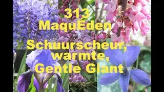 313 Maqu&Eacute;den, handson challenge dog, buzzard catch snake, thermal imaging house, gentle giant hors