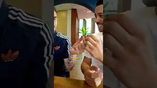 Mastu et Raska testent la baie du miracle #shorts #mastu