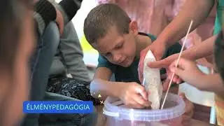 Remigius &Aacute;ltal&aacute;nos Iskola - &Aacute;ltal&aacute;nos Iskolai Tagozat