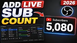 How To Add Live Subscriber Count In OBS Studio (2026) | Transparent Sub Counter