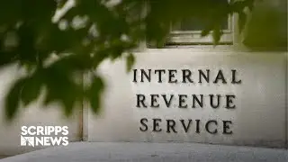 How likely are you to be audited this tax season?